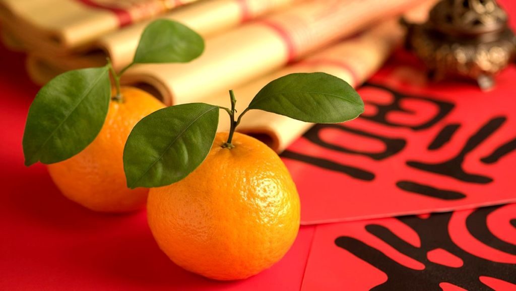 5 Types Of Mandarin Oranges For Chinese New Year